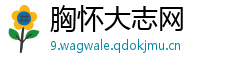 胸怀大志网